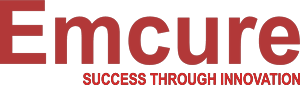 Auditcy India client credential