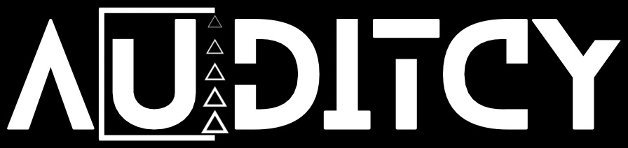Auditcy India